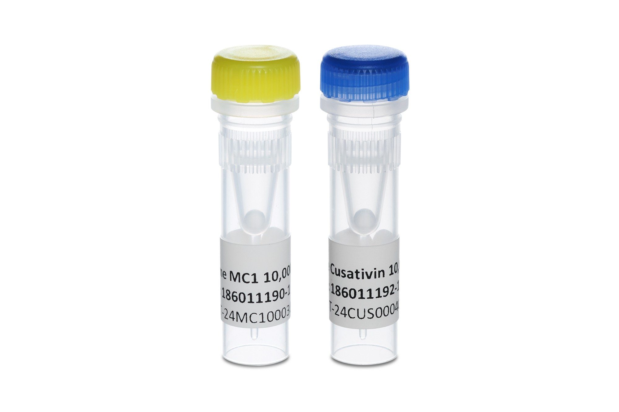 RapiZyme MC1和RapiZyme Cusativin冻干酶 - 10,000单位样品瓶。