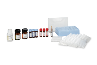 ProteinWorks Sample Preparation Kits allow discovery and early development   laboratories to achieve standardized, reproducible, and sensitive protein quantification via the surrogate peptide approach. 