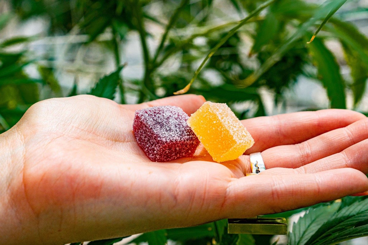 Edible gummies