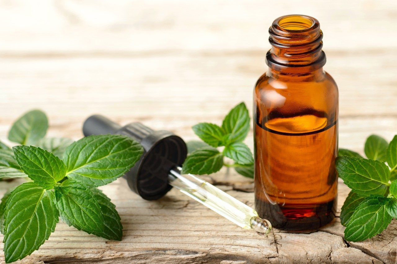 Peppermint essential oil and leaves