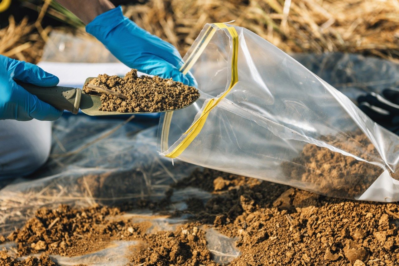 Person scooping soil sample into plastic bag for testing