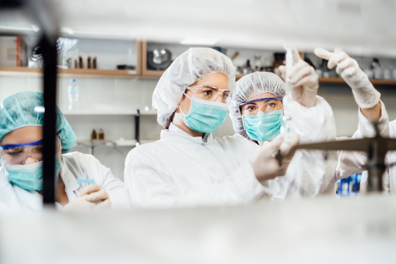 Team of pharmacists working on drug discovery