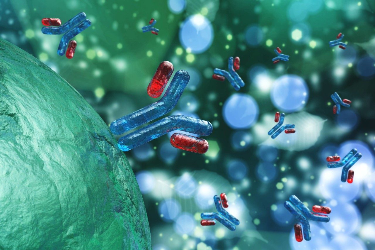 Antibodies in blue and red