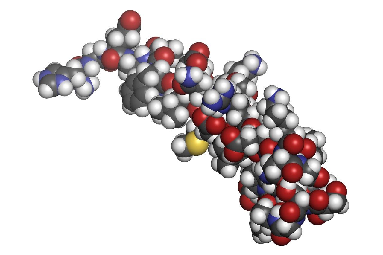 艾塞那肽糖尿病药物分子