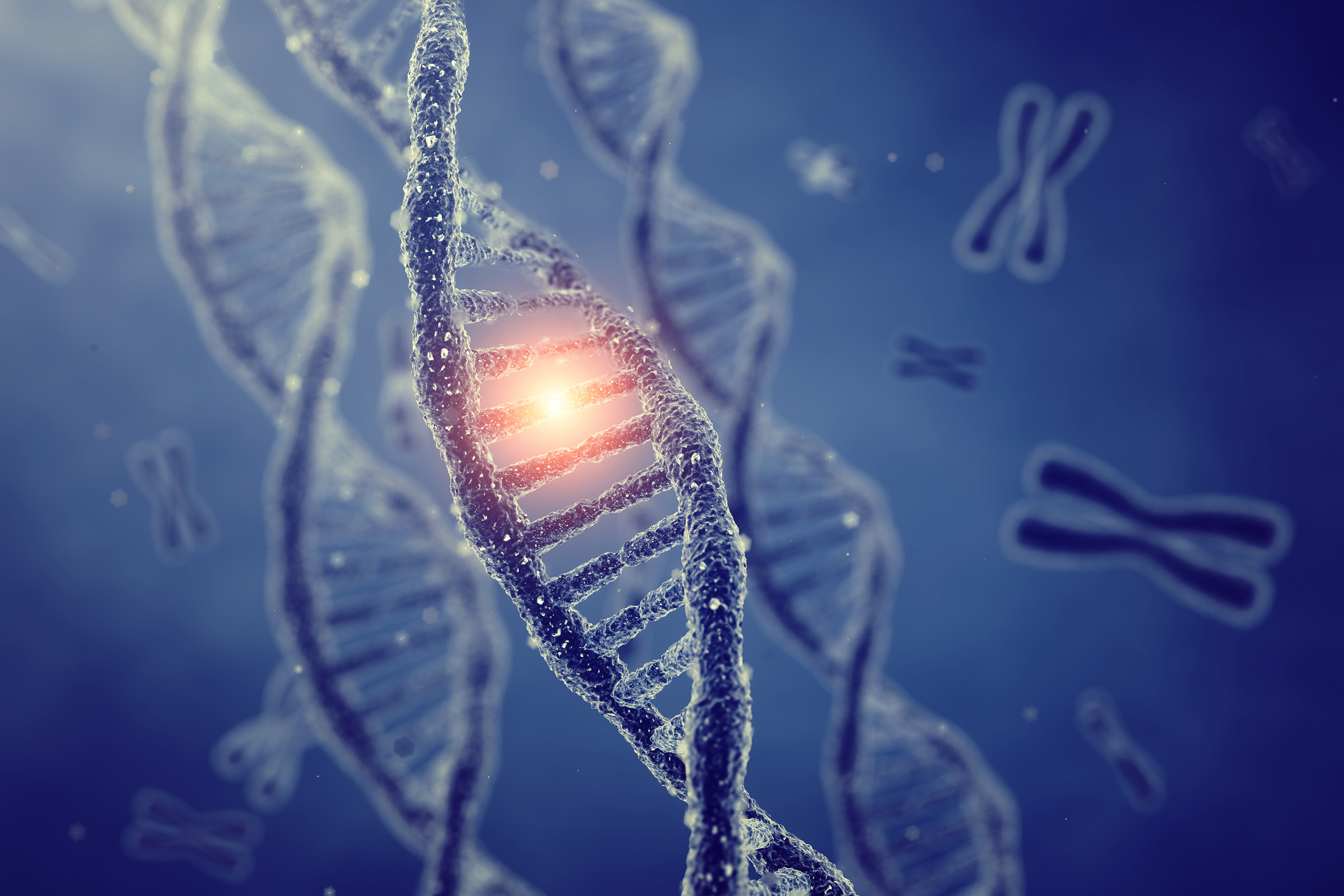 DNA double helix molecules and chromosomes, genetic code and Gene mutation