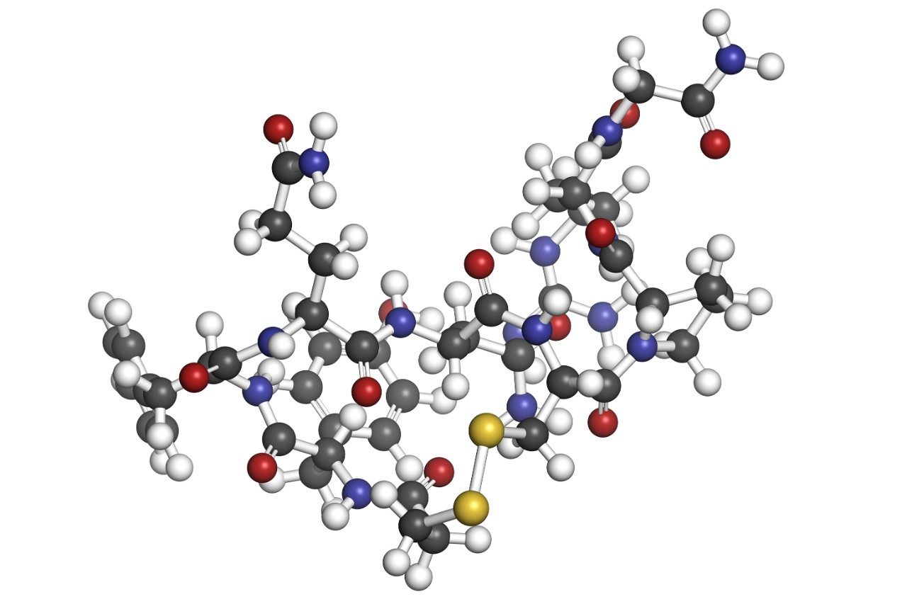 去氨加压素合成肽分子结构