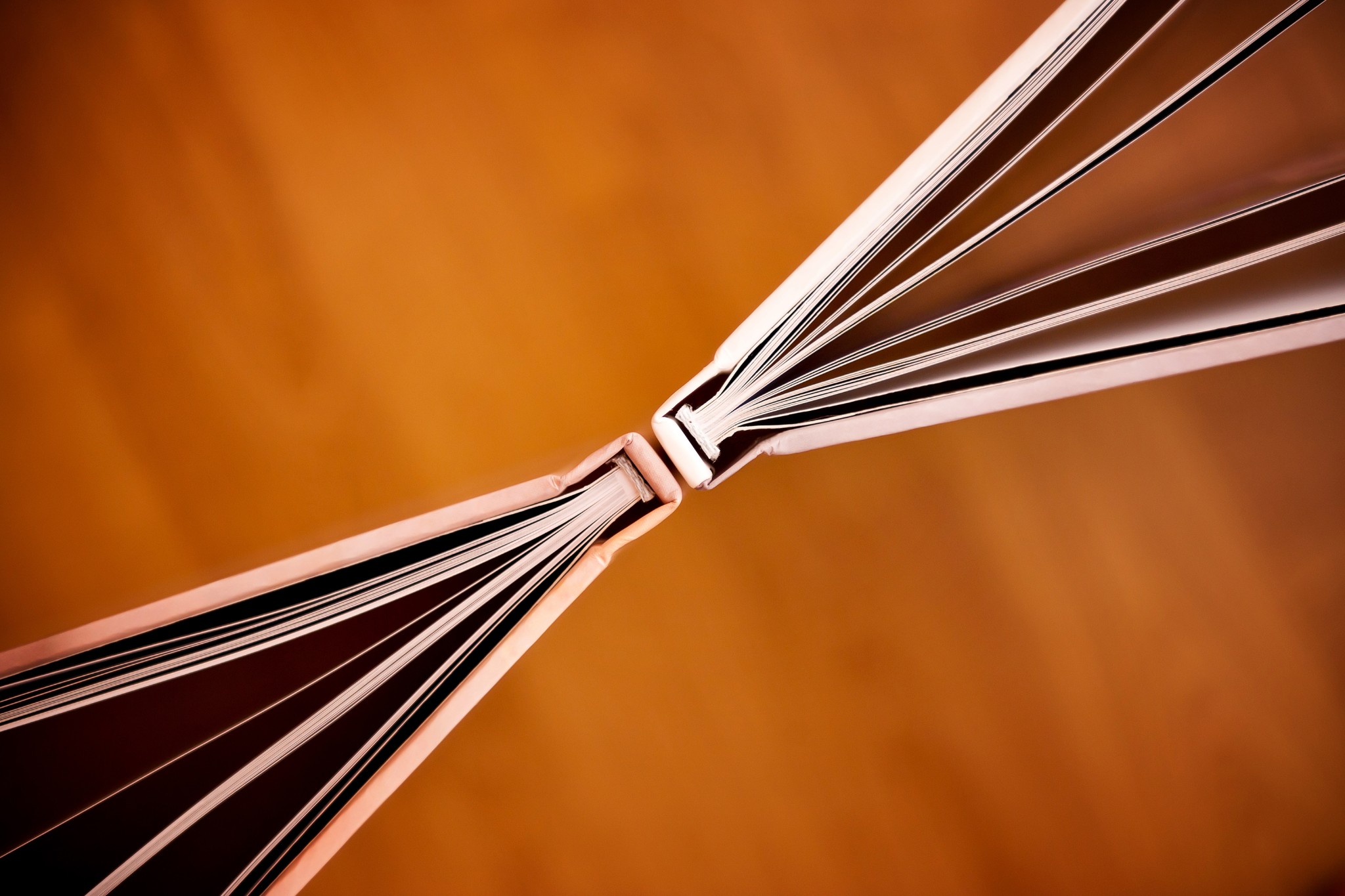 The ends of two thin, partially open books, shot from above on the background of a blurred wood floor