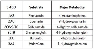  Probe substrates and major metabolite