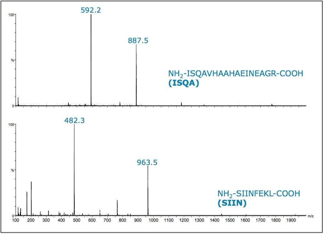 Mass spectra for ISQA and SIIN resulting from the pilot runs.