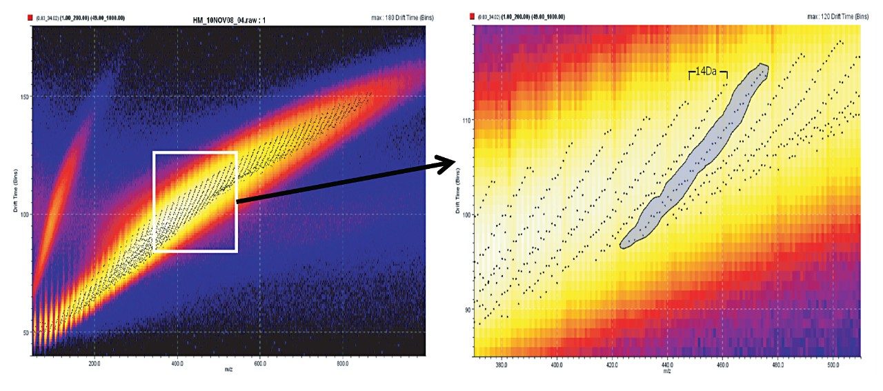 View of the oil sample using DriftScope v.2.1