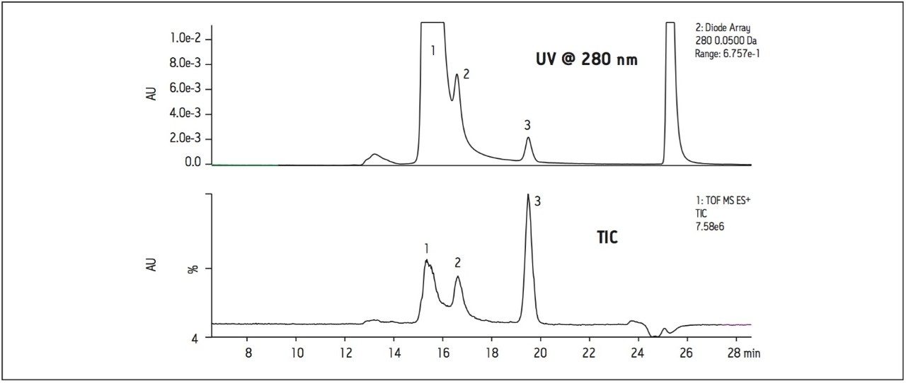 SEC-UV-MS of a recombinant humanized monoclonal antibody