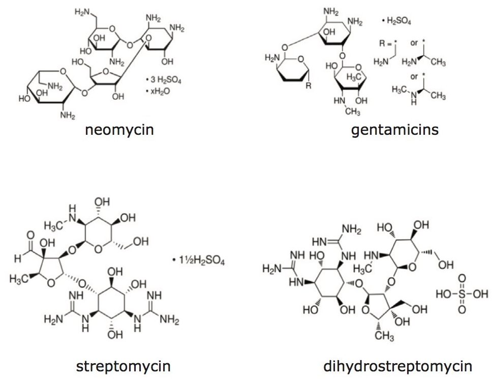 Structures of aminoglycoside antibiotics.