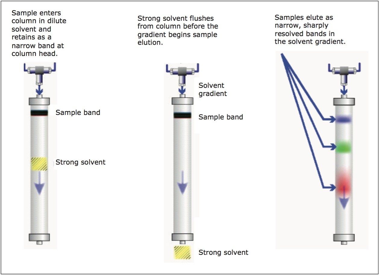 Schematic of at-column dilution