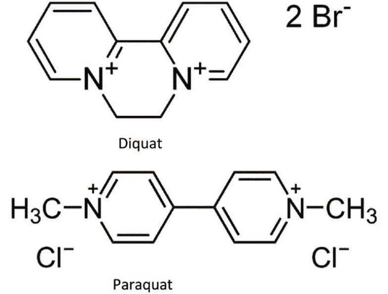 Chemical structure of diquat and paraquat