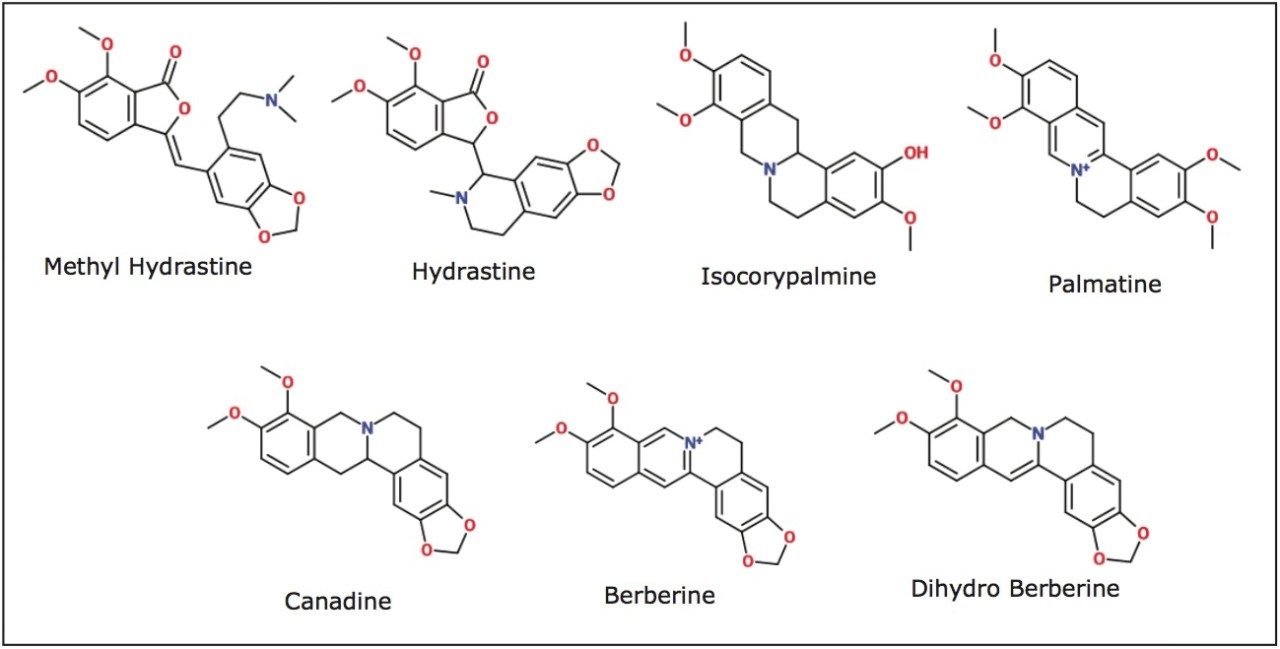  Structures of identified alkaloids