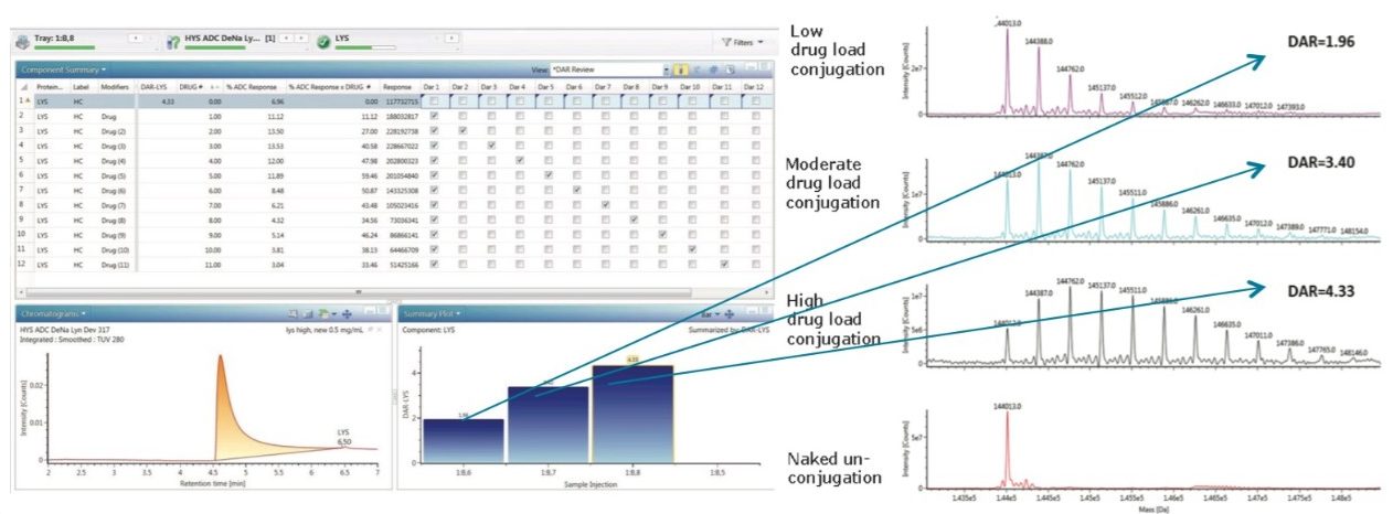  UNIFI review panel and The deconvoluted MS spectra for lysine-conjugated ADCs