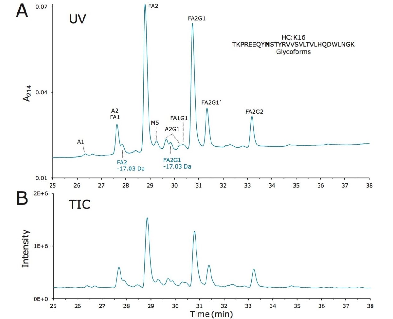 Lys-C glycopeptide mapping of trastuzumab with HILIC and an ACQUITY UPLC Glycoprotein BEH Amide 300Å 1.7 µm Column.