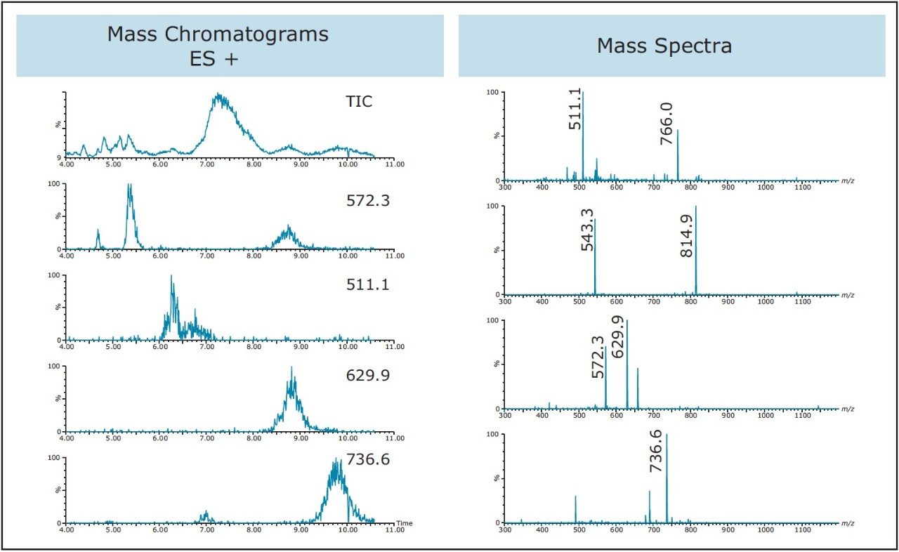 Mass assignments to impurities using the XSelect CSH Phenyl Hexyl OBD Prep Column