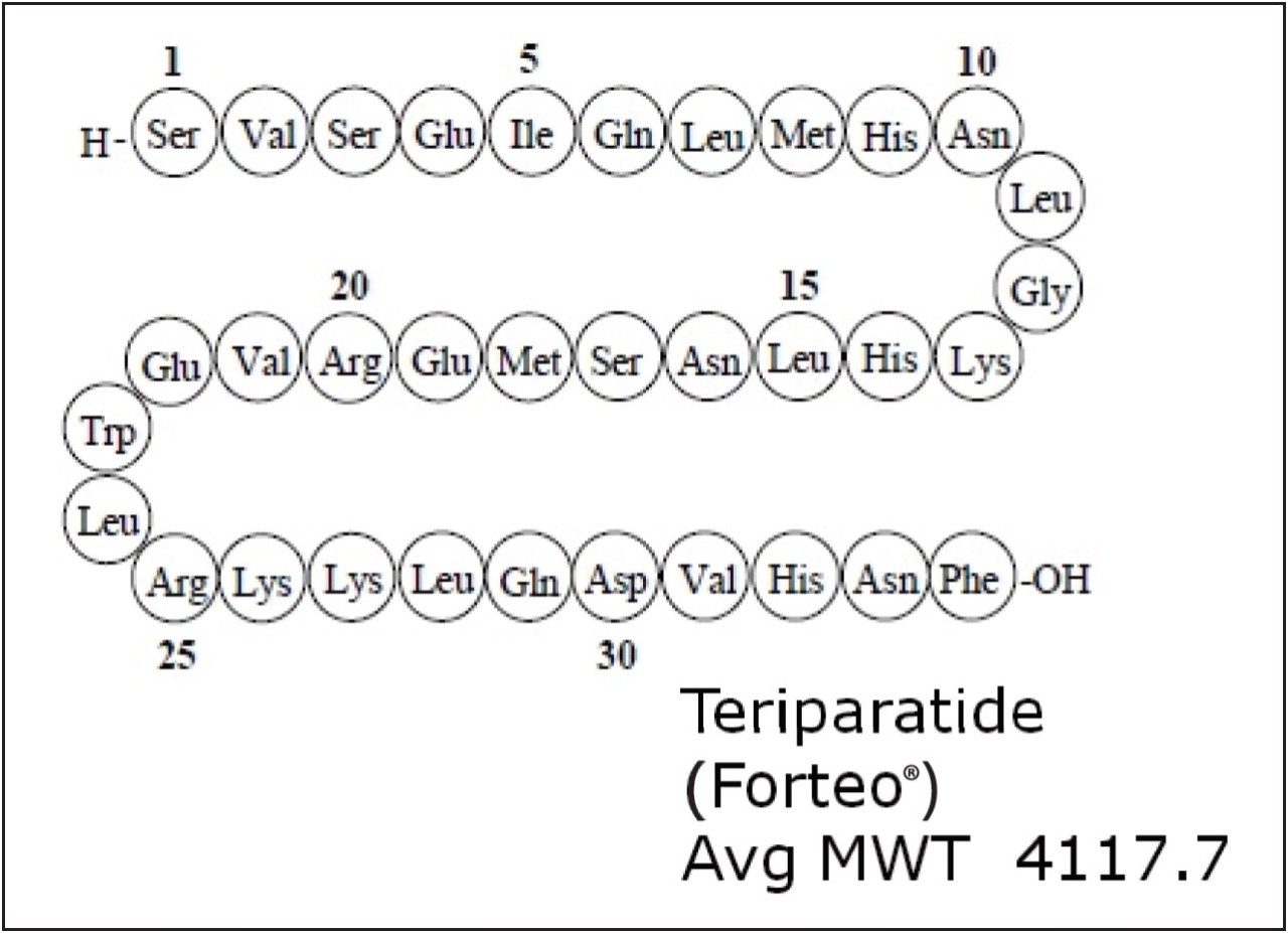 Representative structure and amino acid sequence of teriparatide