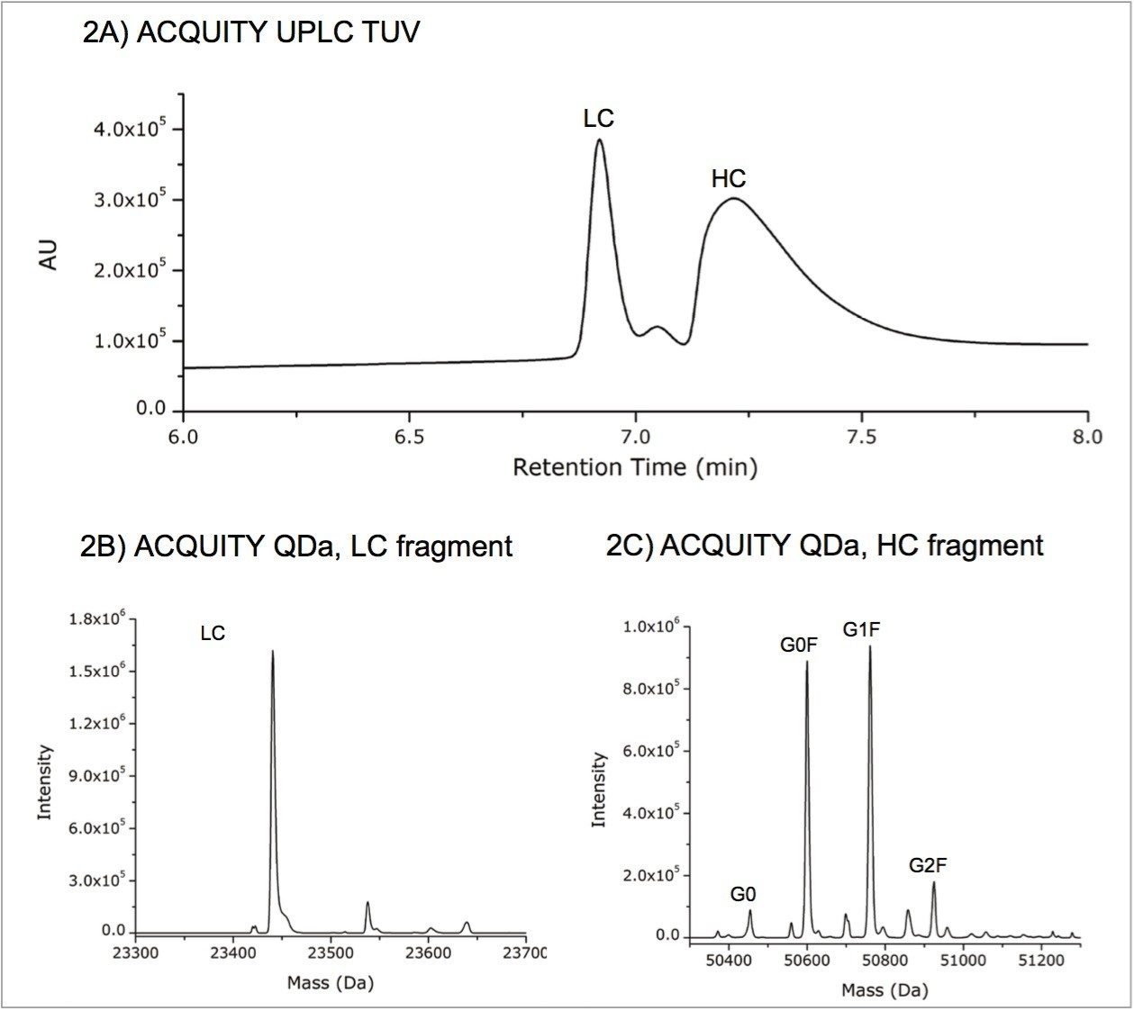 Partial reduction of trastuzumab