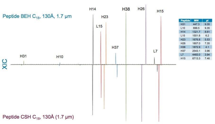 XIC profiles demonstrating the effect of positive surface charge