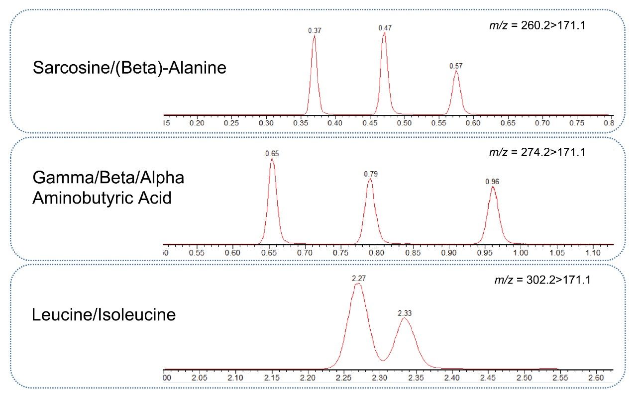 Figure 1. Separation of key isobaric amino acids in human serum.