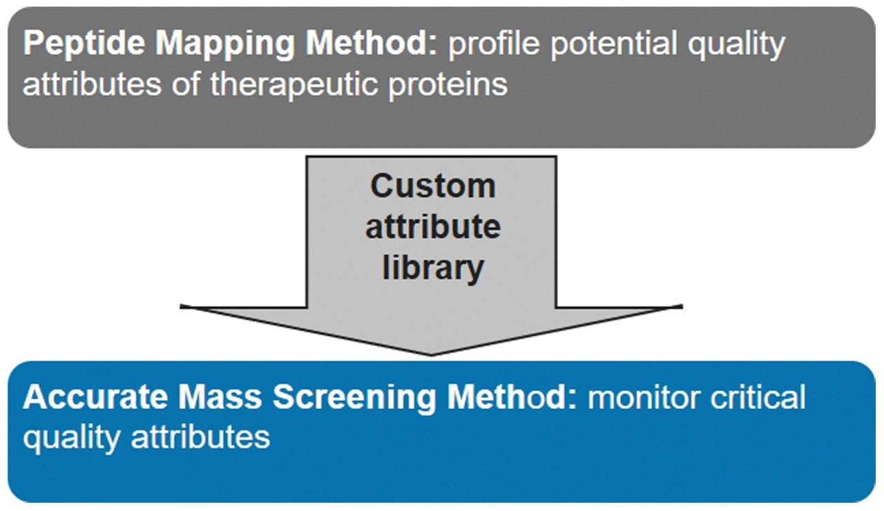 Schematic representation of workflow methods from peptide attribute identification to routine monitoring.