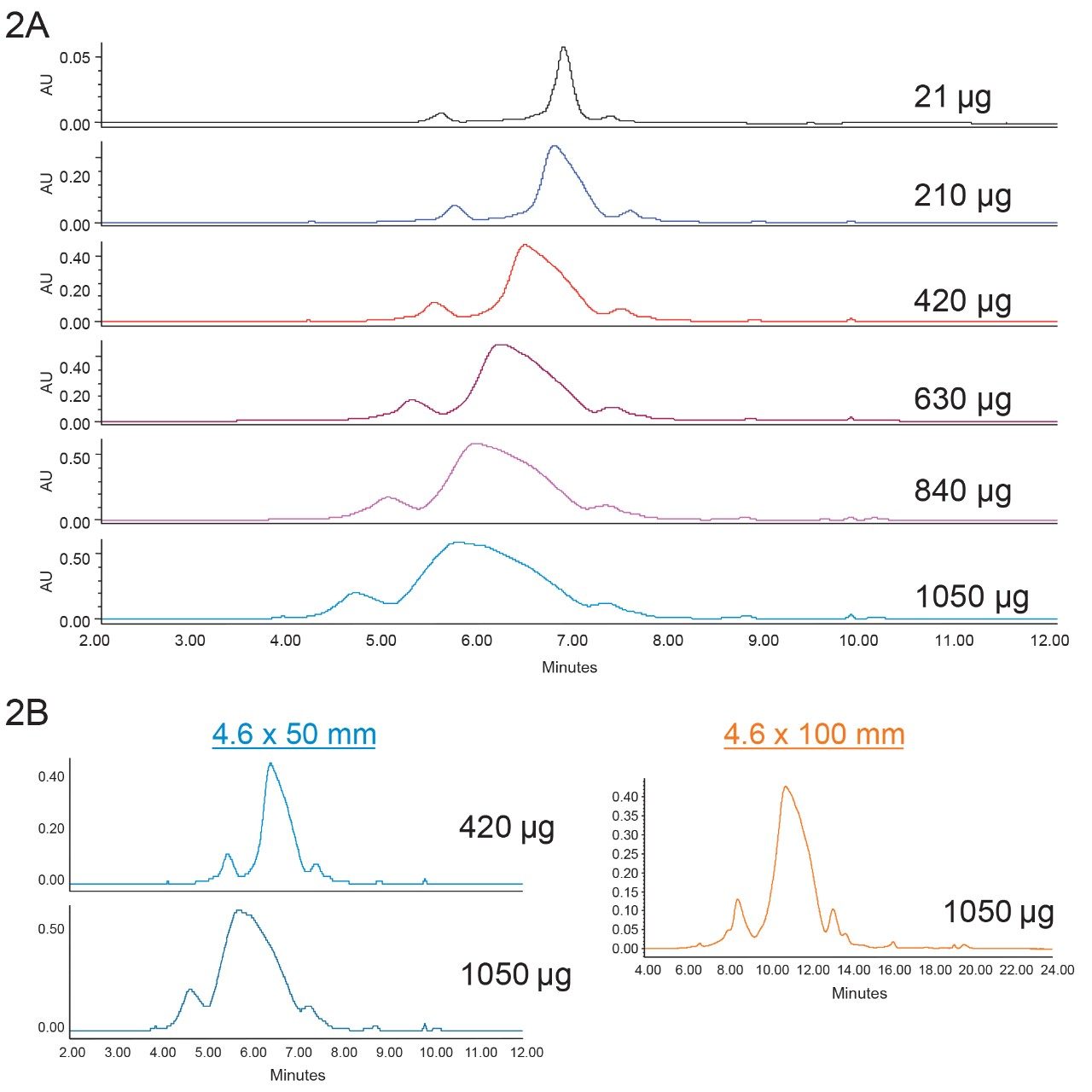  Loading study of trastuzumab