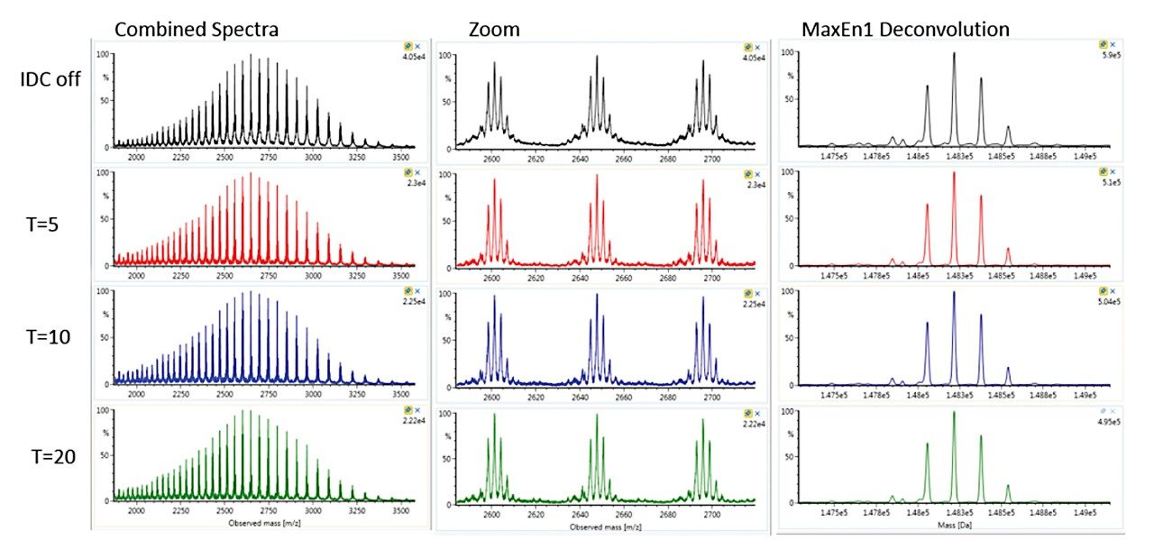 Combined MS spectra, zoom, and corresponding MaxEnt1 deconvoluted masses of trastuzumab
