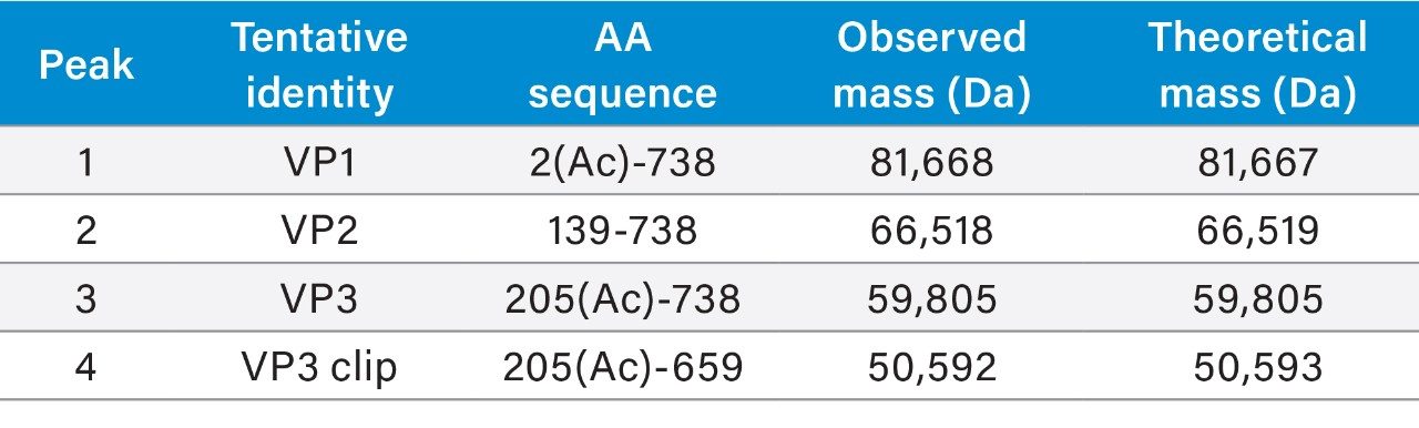 Assignments of AAV8 capsid proteins 