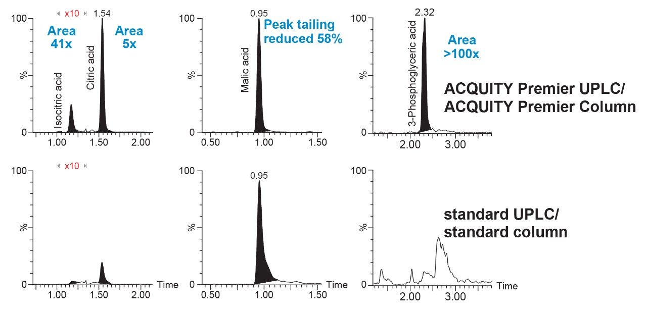 Separation of metabolites extracted from plasma 