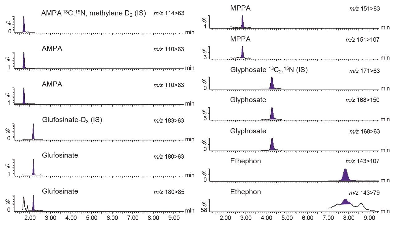 Typical chromatograms 