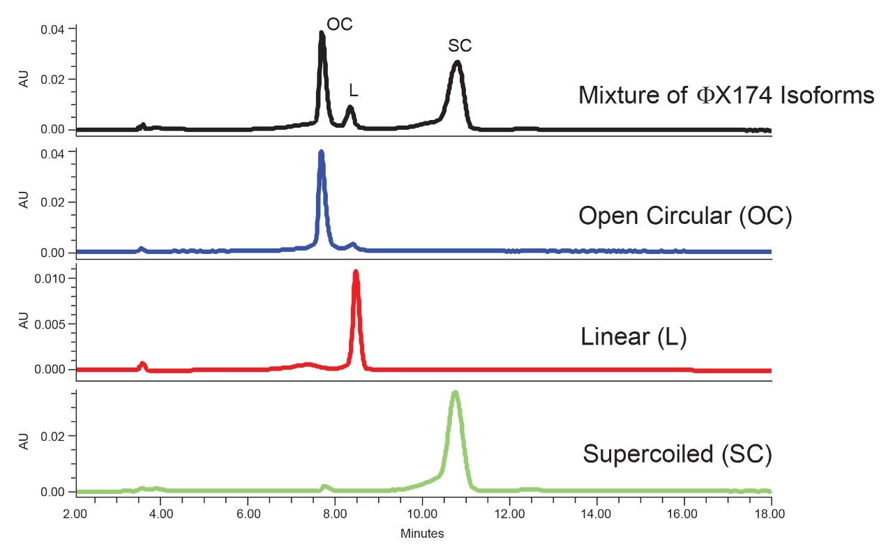 ΦX174 plasmid isoform separation on a Waters Protein-Pak Hi Res Q Column.