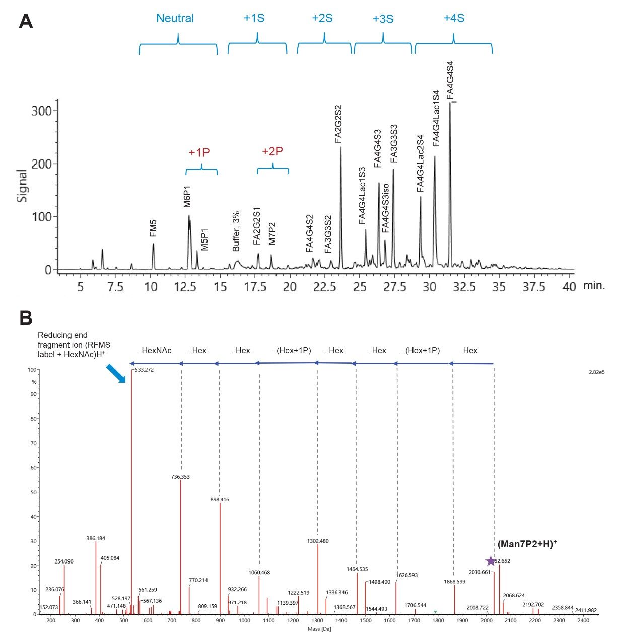 C18/AX separation of EPO N-glycans.