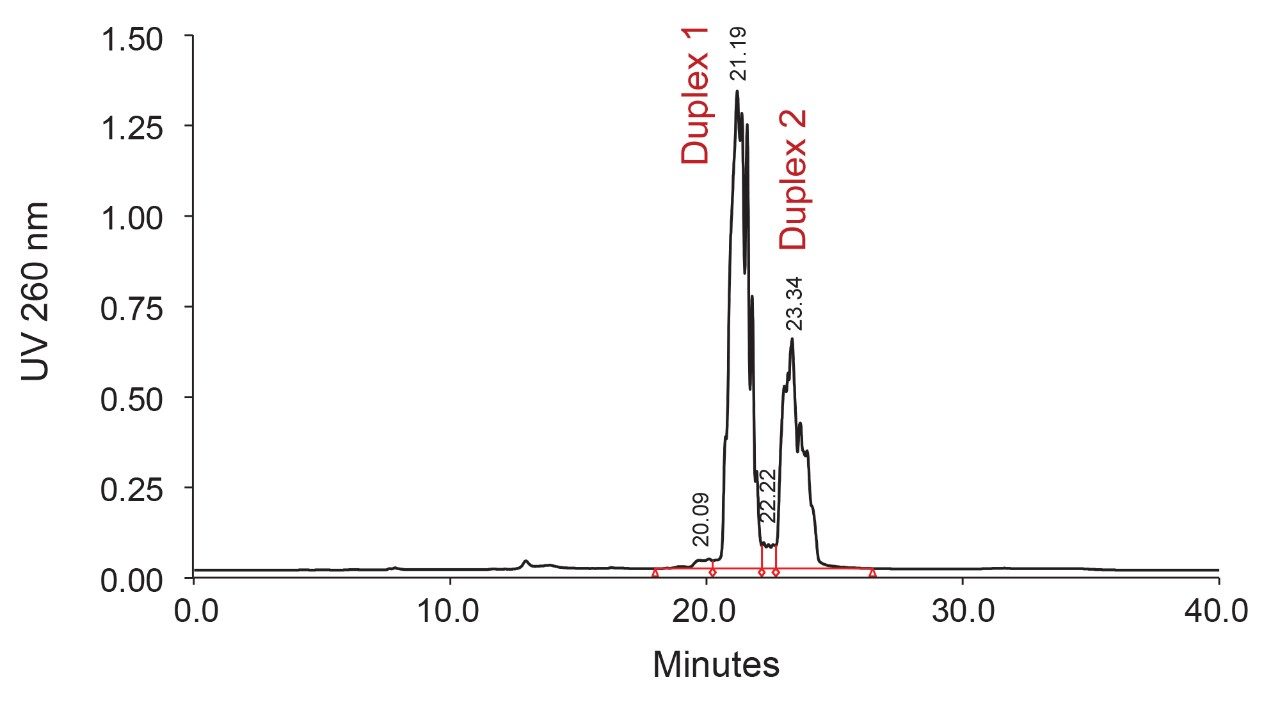 Analysis of reference solution.