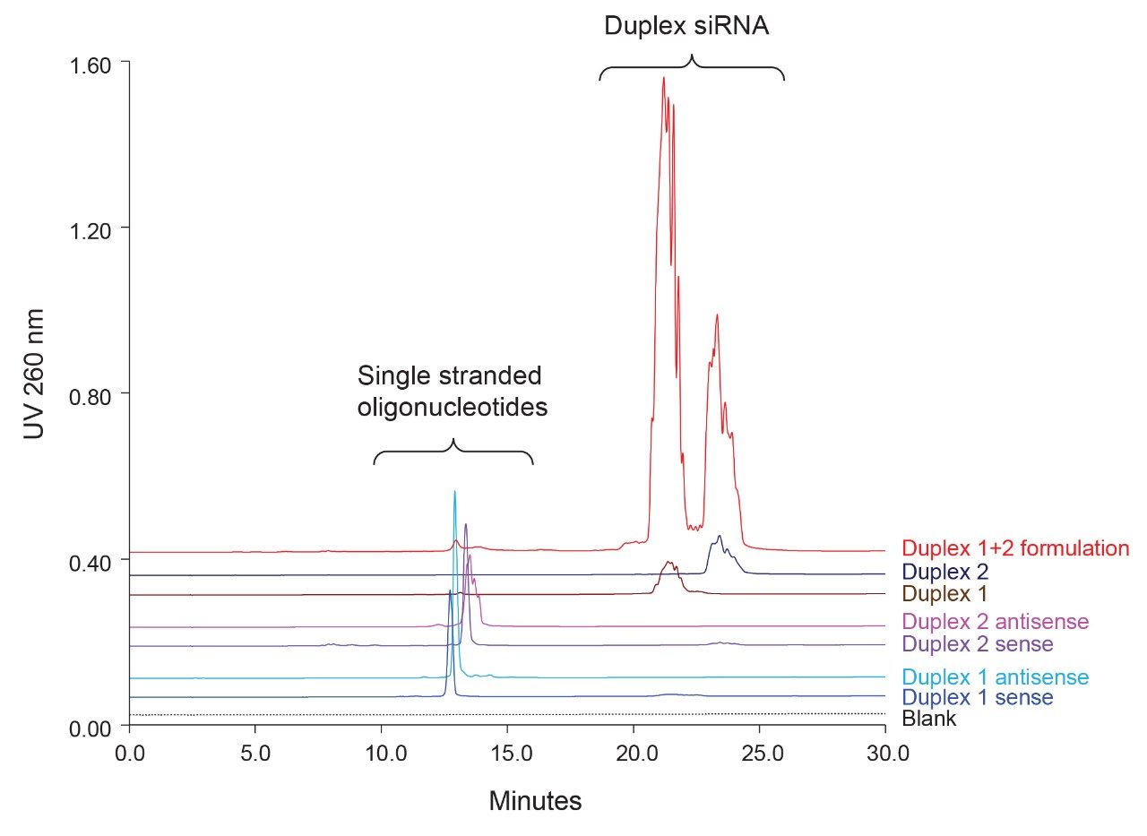 IP-RP LC retention study of single stranded and duplex siRNA constituents.