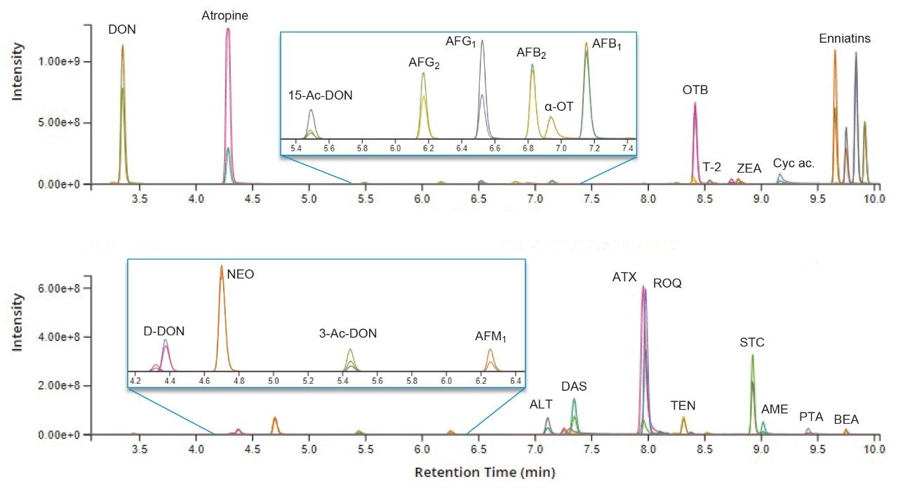 Chromatograms of the tested mycotoxins and plant toxins in two different spiked cereal samples. Each peak is characterized by a quantifier and a qualifier ion trace