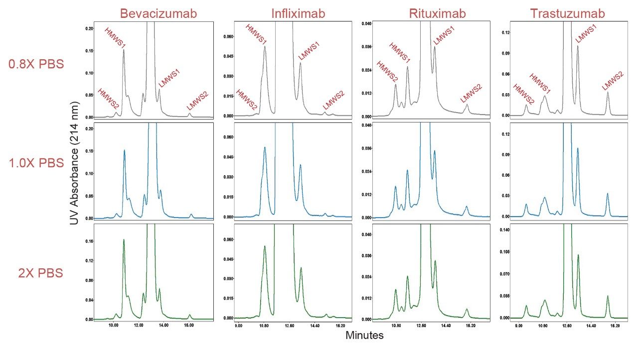 Stacked plots of biosimilar mAb samples at varying concentrations of Dulbecco’s phosphate buffer saline using an XBridge Premier Protein SEC 250 Å, 2.5 µm, 7.8 x 300 mm column are shown. Experimental conditions provided in text.