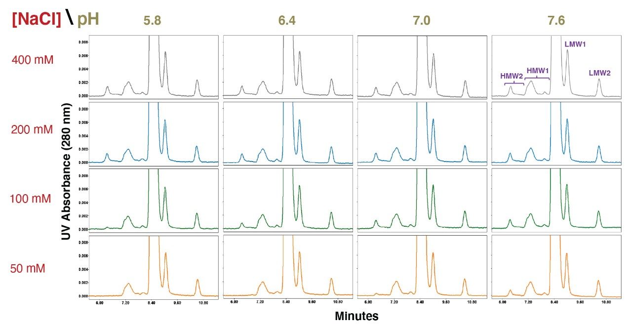 Trastuzumab drug product SEC separations using an XBridge™ Premier Protein SEC column (250 Å, 2.5µm, 7.8 X 300 mm) are shown for pH values ranging from 5.8 to 7.6 (20 mM sodium phosphate) and sodium chloride (NaCl) concentrations ranging from 50 mM to 400 mM.