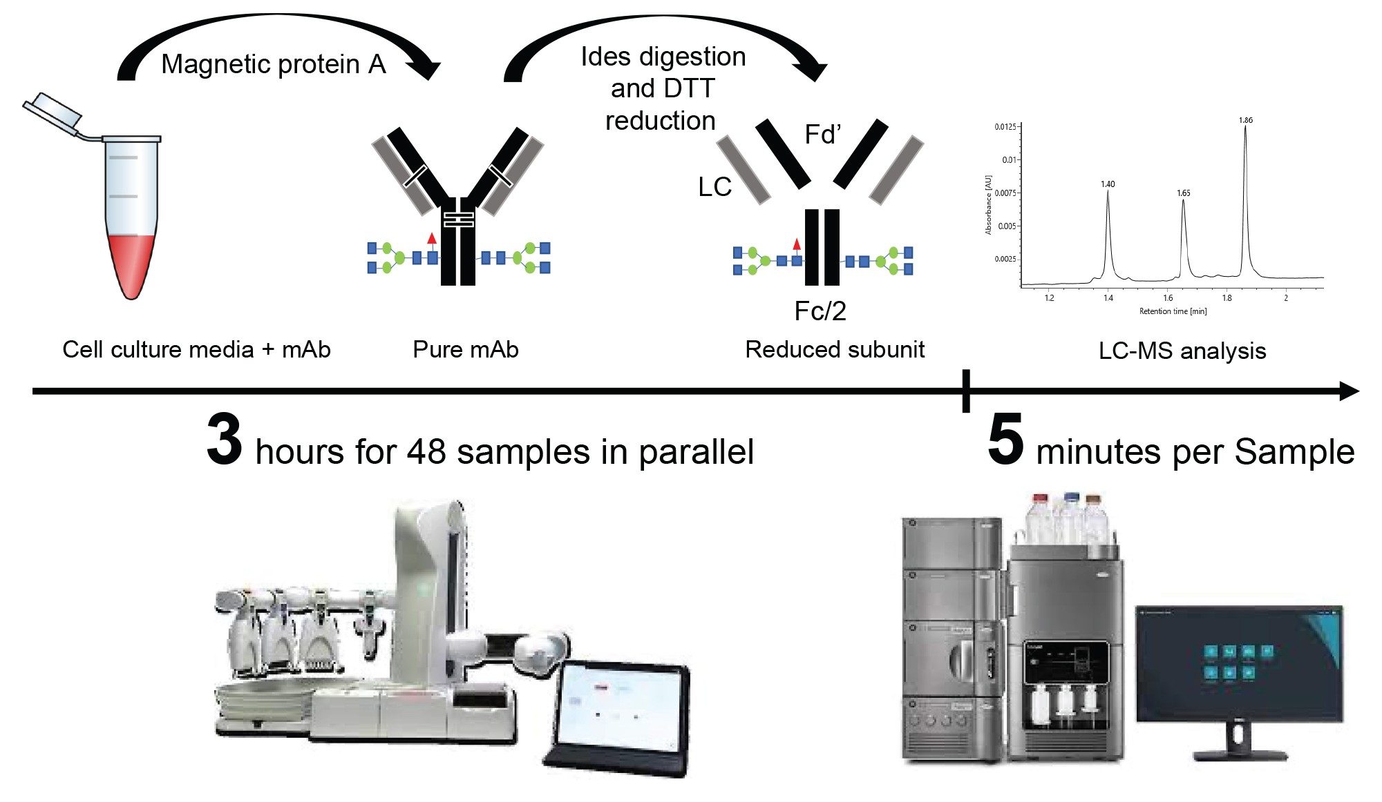 Workflow of automated antibody purification and digestion with Andrew+ and rapid LC-MS analysis using Waters BioAccord System. 