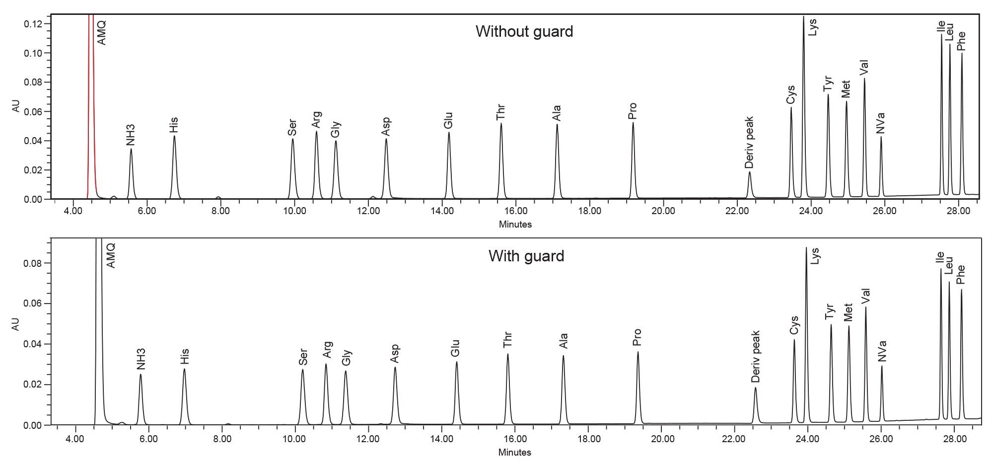 Analysis of Protein Hydrolysate AA Standard
