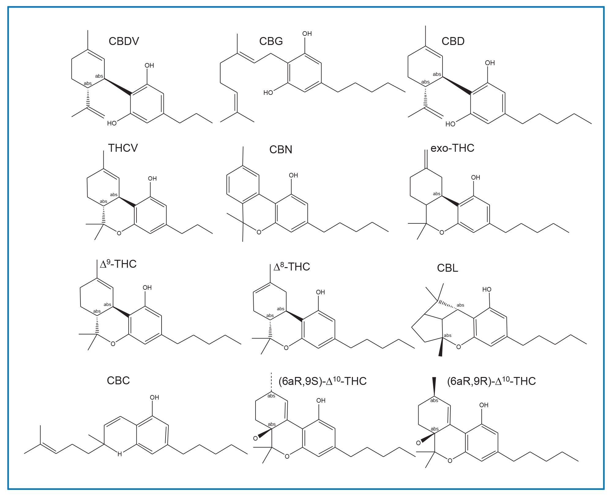 Structures of cannabinoids used in the study