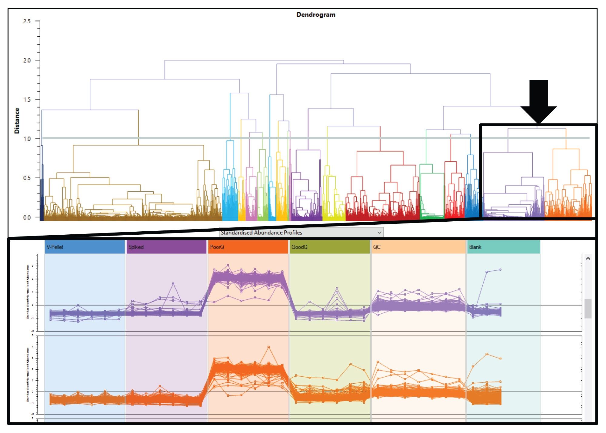 Correlation analysis between the detected compounds in the positive mode of ionisation