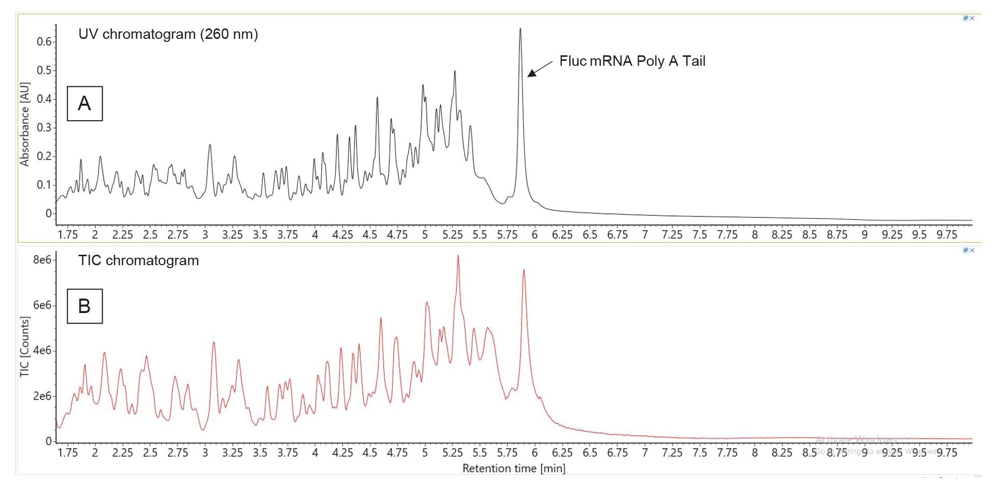 Separation of the RNase T1 digested Fluc mRNA: (A) UV chromatogram recorded at 260 nm