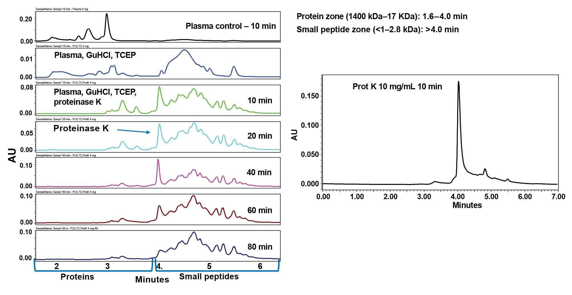 SEC profiles of plasma proteins following digestion with RapiZyme Proteinase K in a time course study. SEC profile of RapiZyme Proteinase K alone is shown on the right