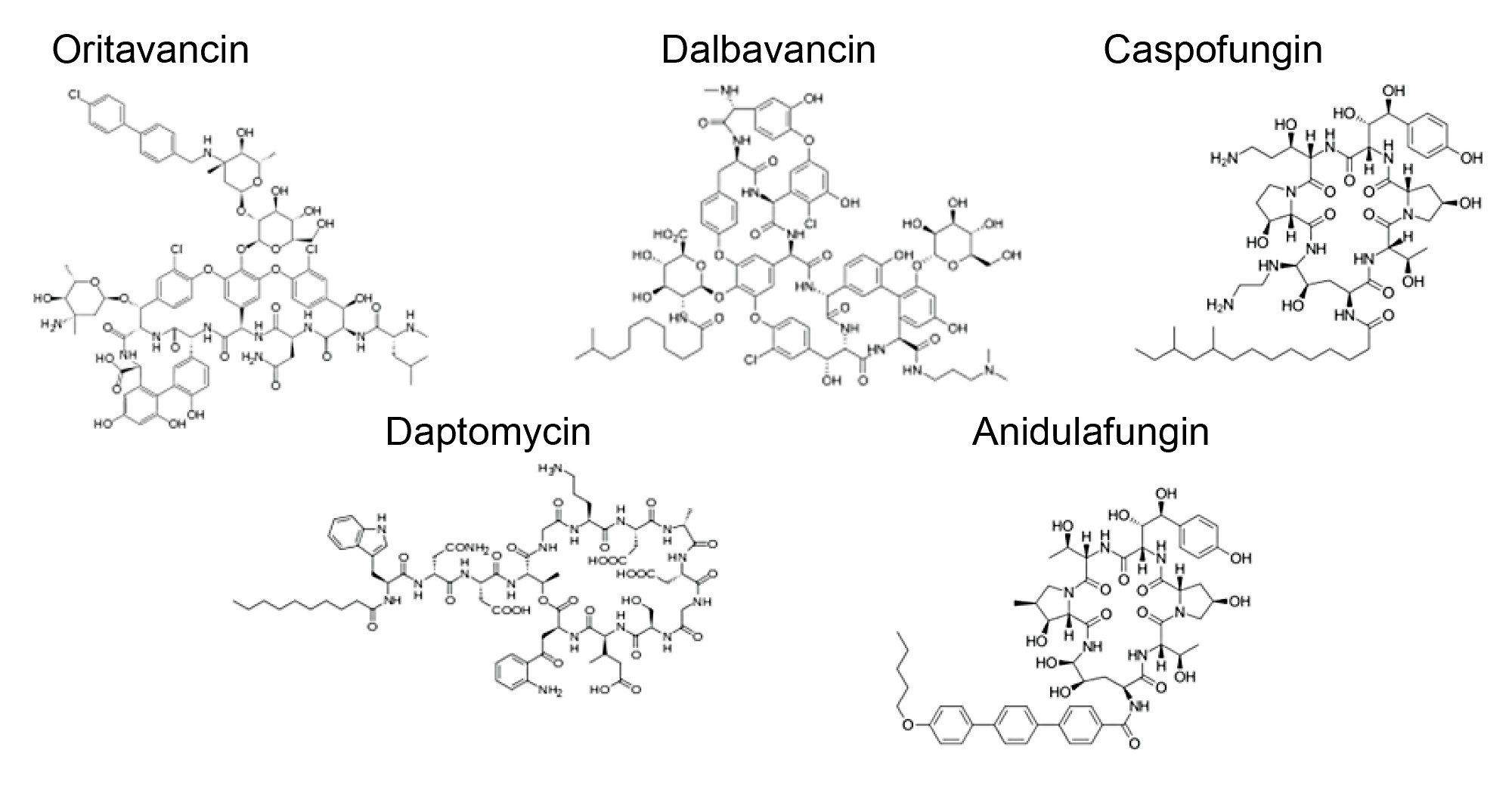 Names and structures of the five analyzed APIs