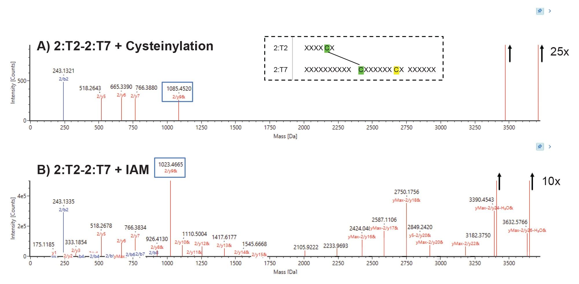 Fragmentation map of matched fragments from the disulfide linked peptides (2:T2–2:T7) containing the expected unpaired cysteine (highlighted in yellow)