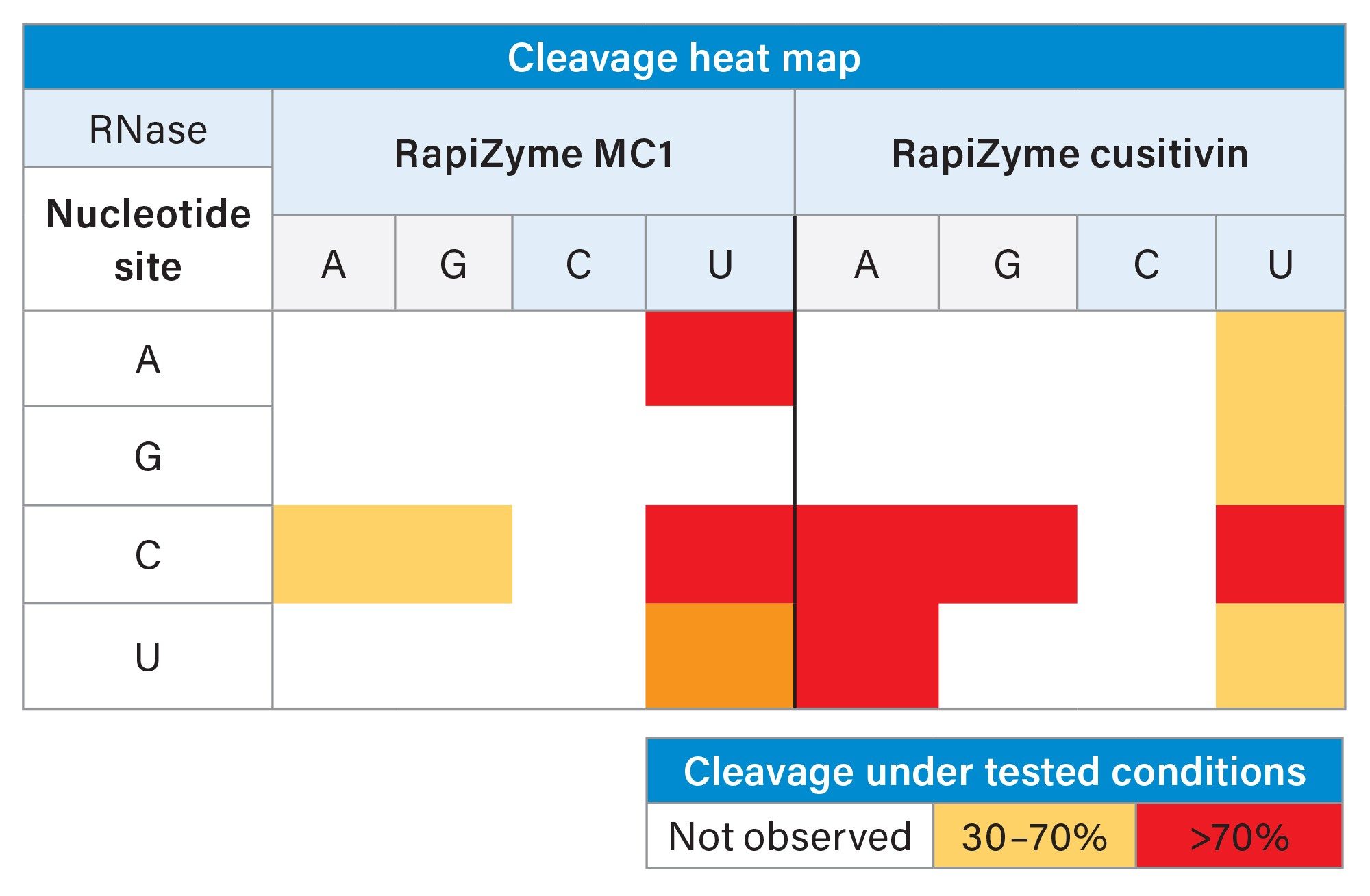 Approximation of relative cleavage reaction rates for RapiZyme MC1 and RapiZyme Cusativin at each dinucleotide combination