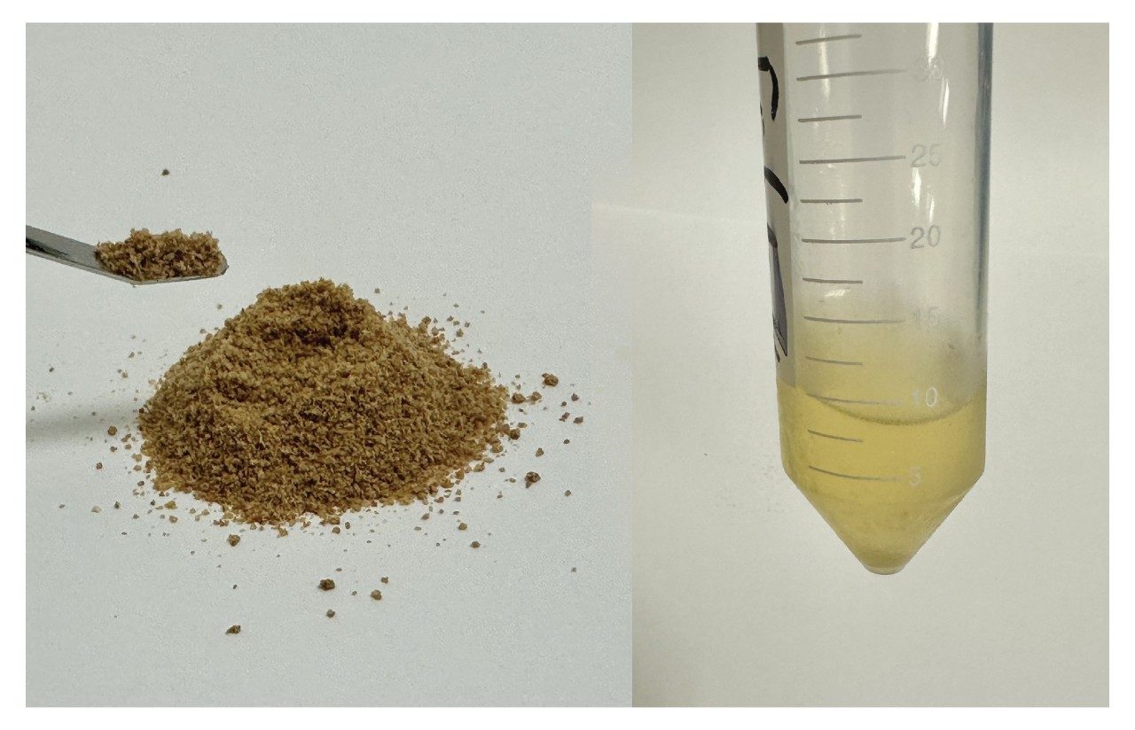 Fish meal and the extract before dilution