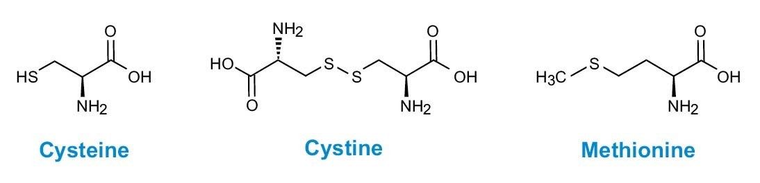 Figure 3. Sulphur-containing amino acids.